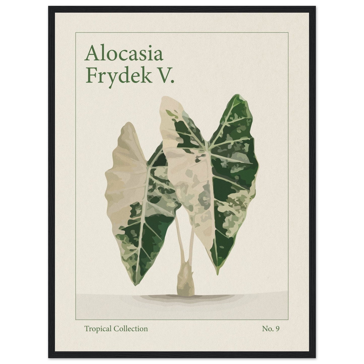 Alocasia Frydek V. - art behind glass