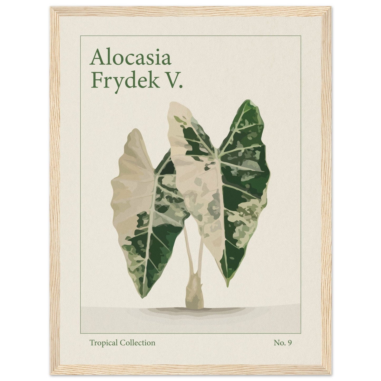 Alocasia Frydek V. - art behind glass