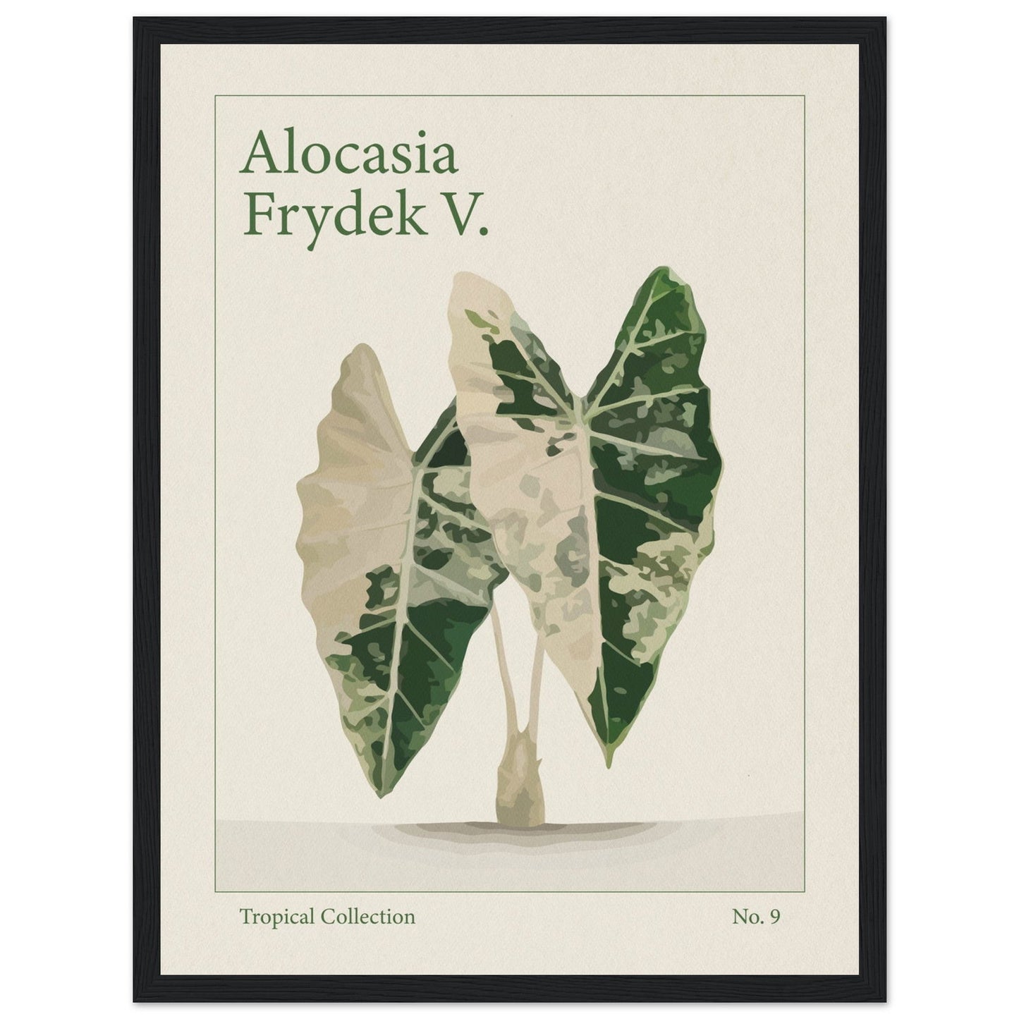 Alocasia Frydek V. - art behind glass