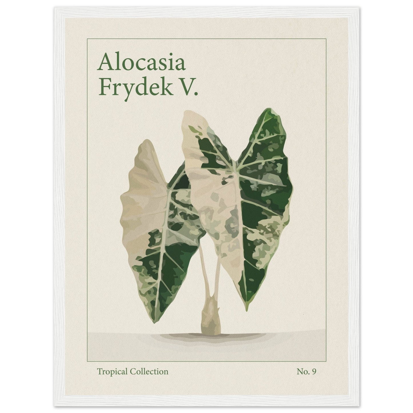 Alocasia Frydek V. - art behind glass