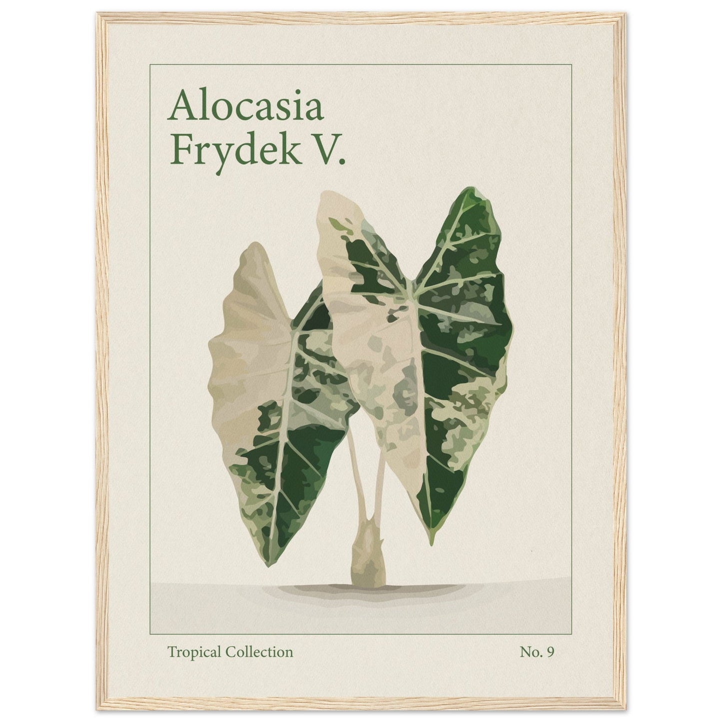 Alocasia Frydek V. - art behind glass