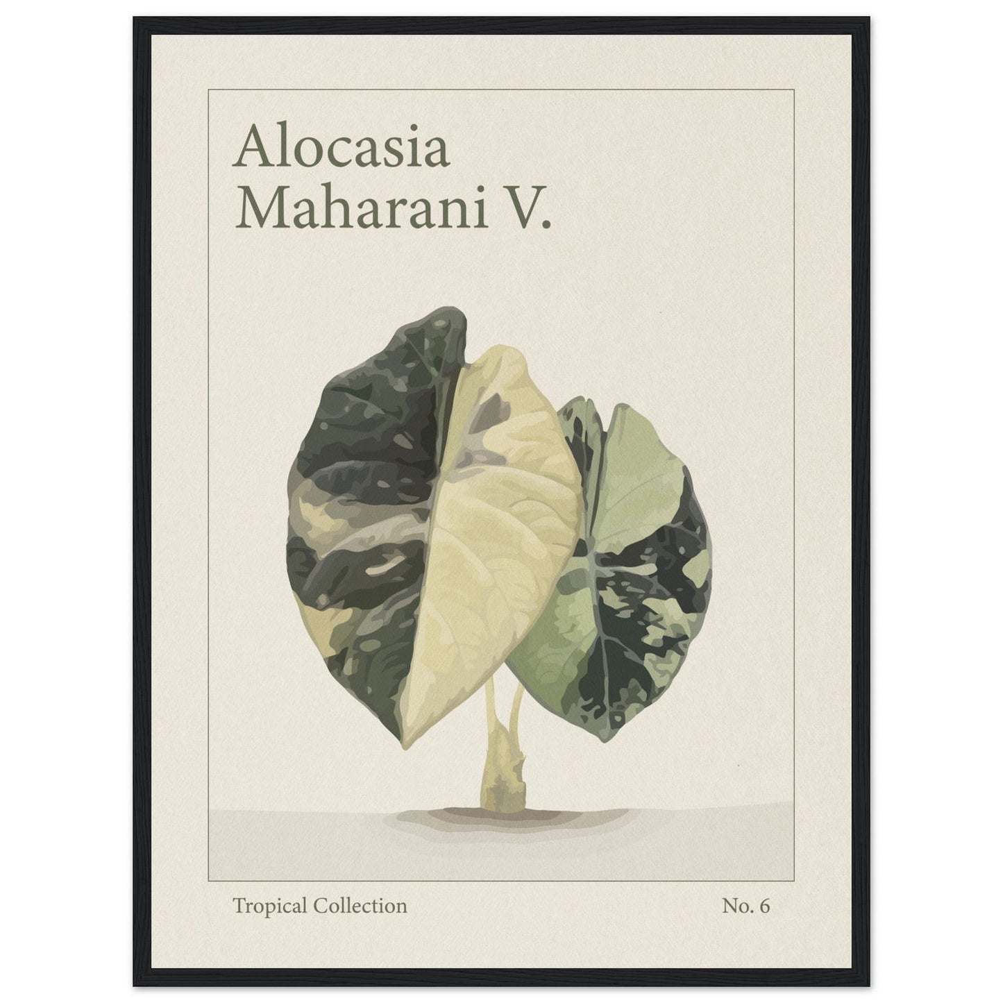 Alocasia Maharani V. - art behind glass