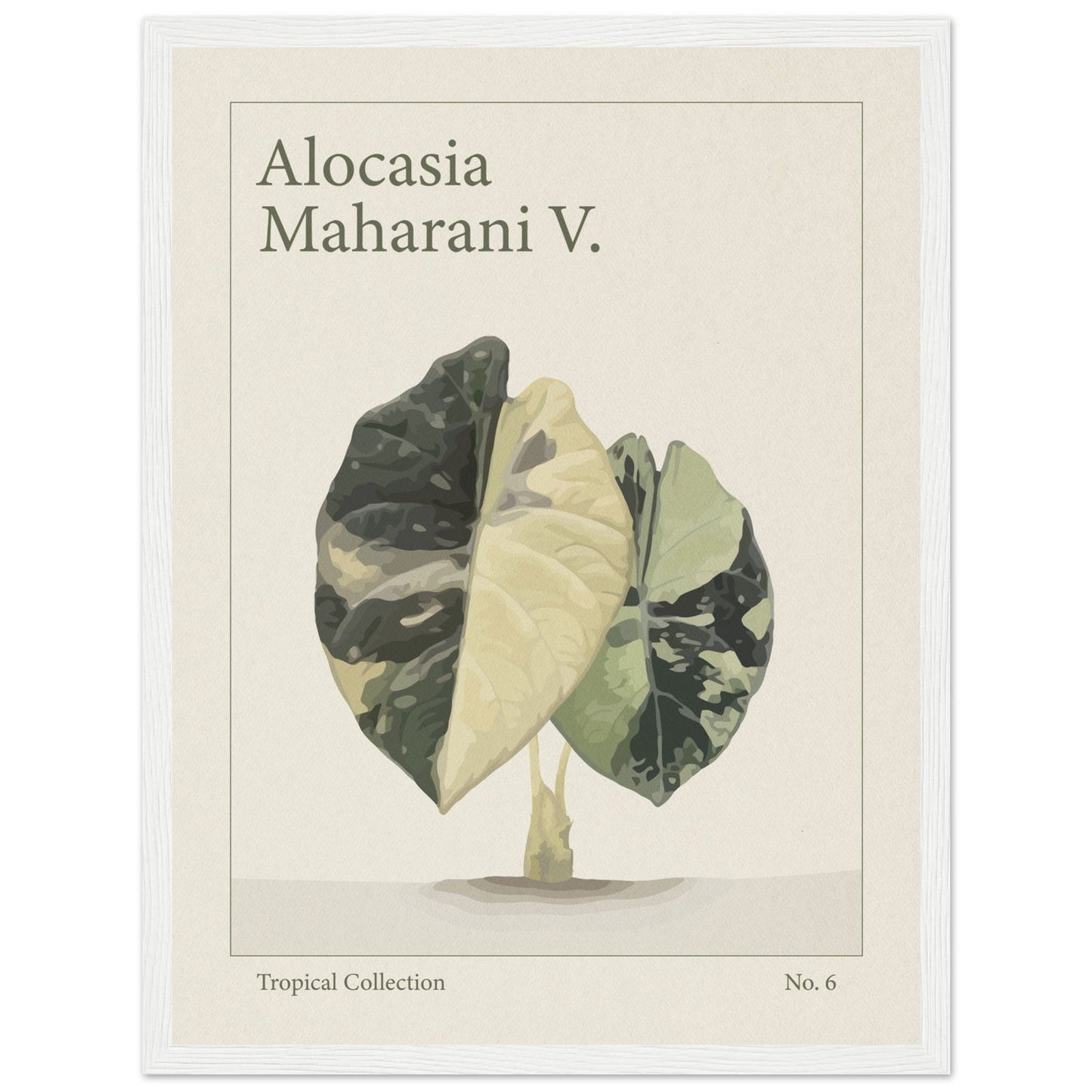 Alocasia Maharani V. - art behind glass