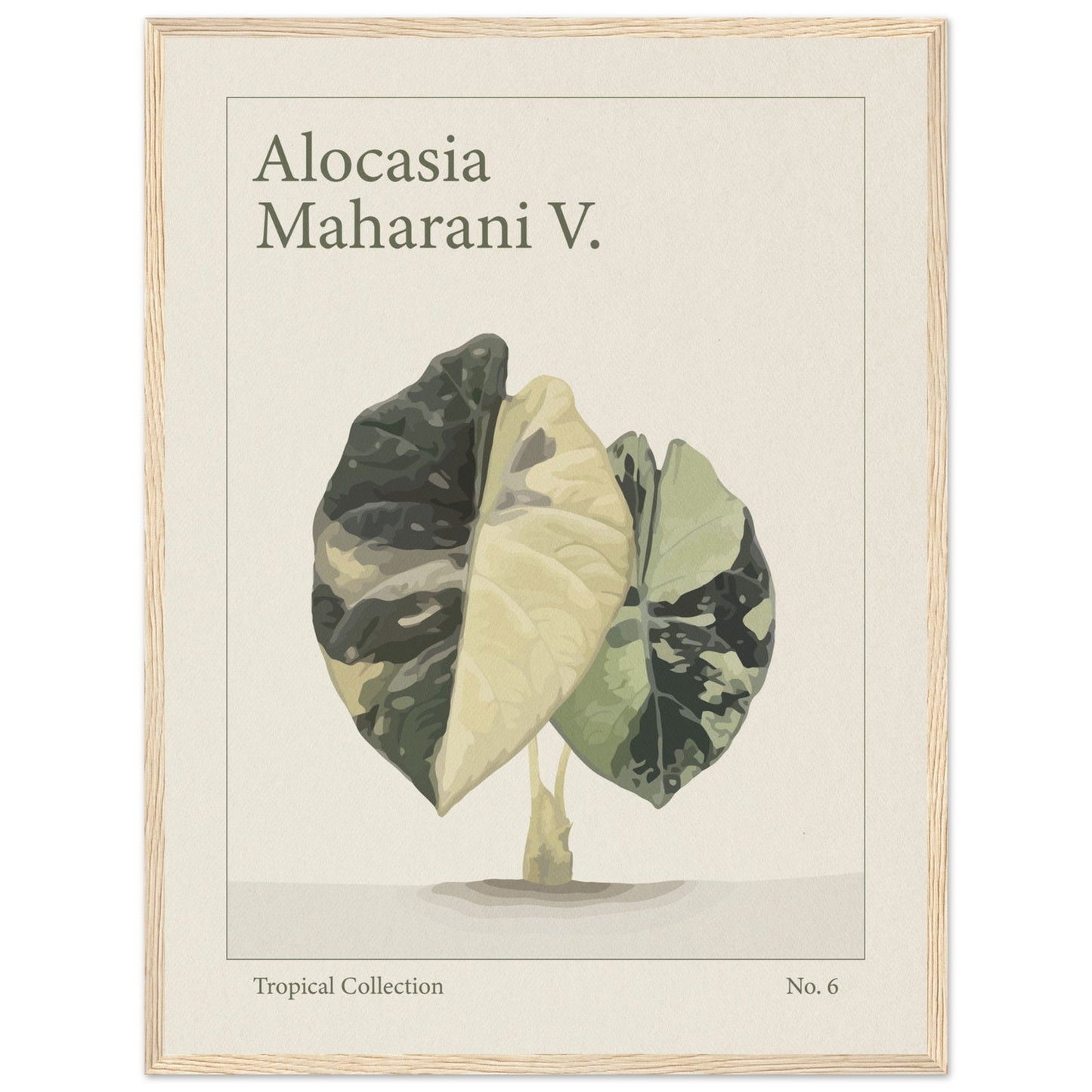 Alocasia Maharani V. - art behind glass