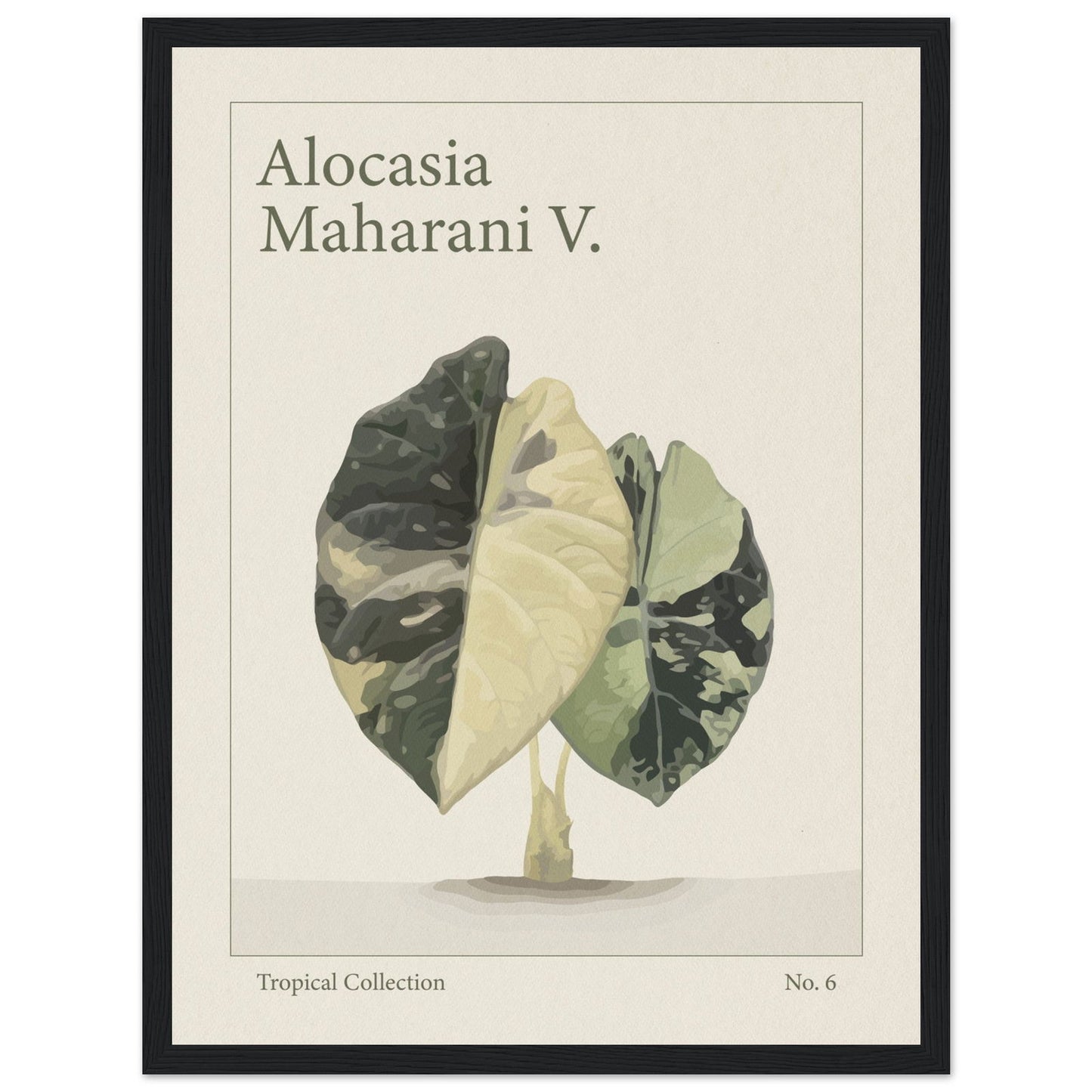 Alocasia Maharani V. - art behind glass