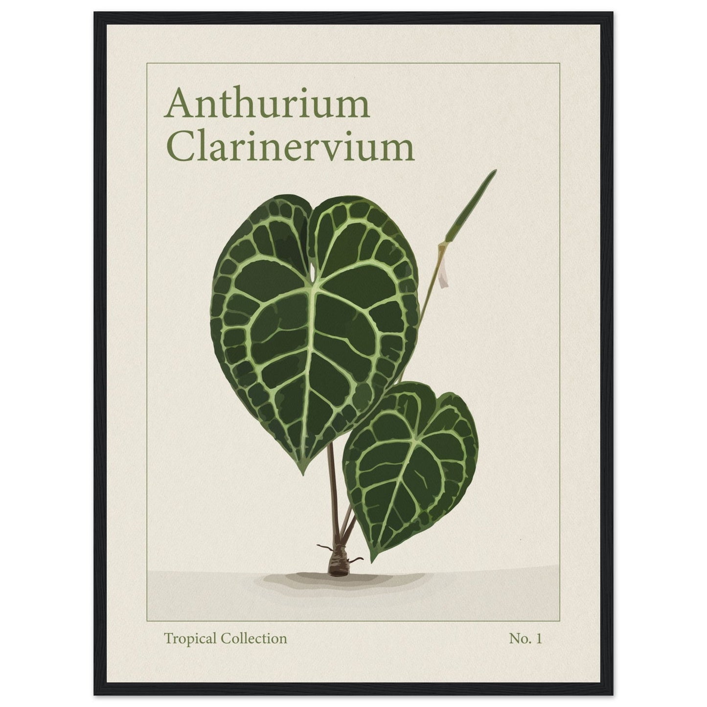 Anthurium Clarinervium - art behind glass