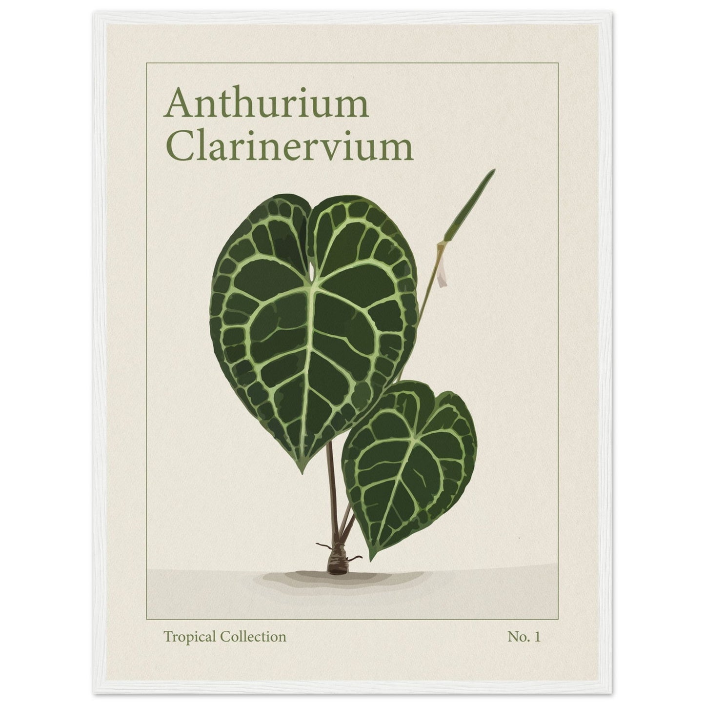 Anthurium Clarinervium - art behind glass