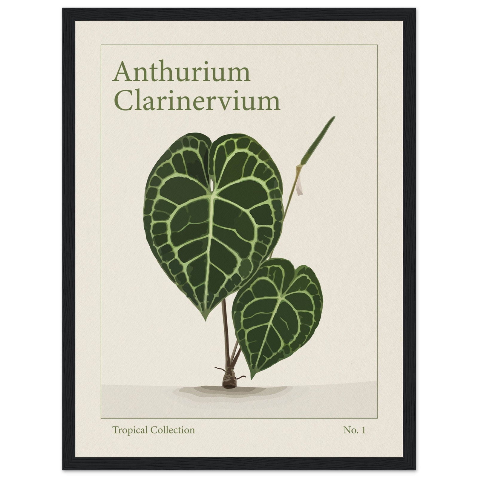 Anthurium Clarinervium - art behind glass