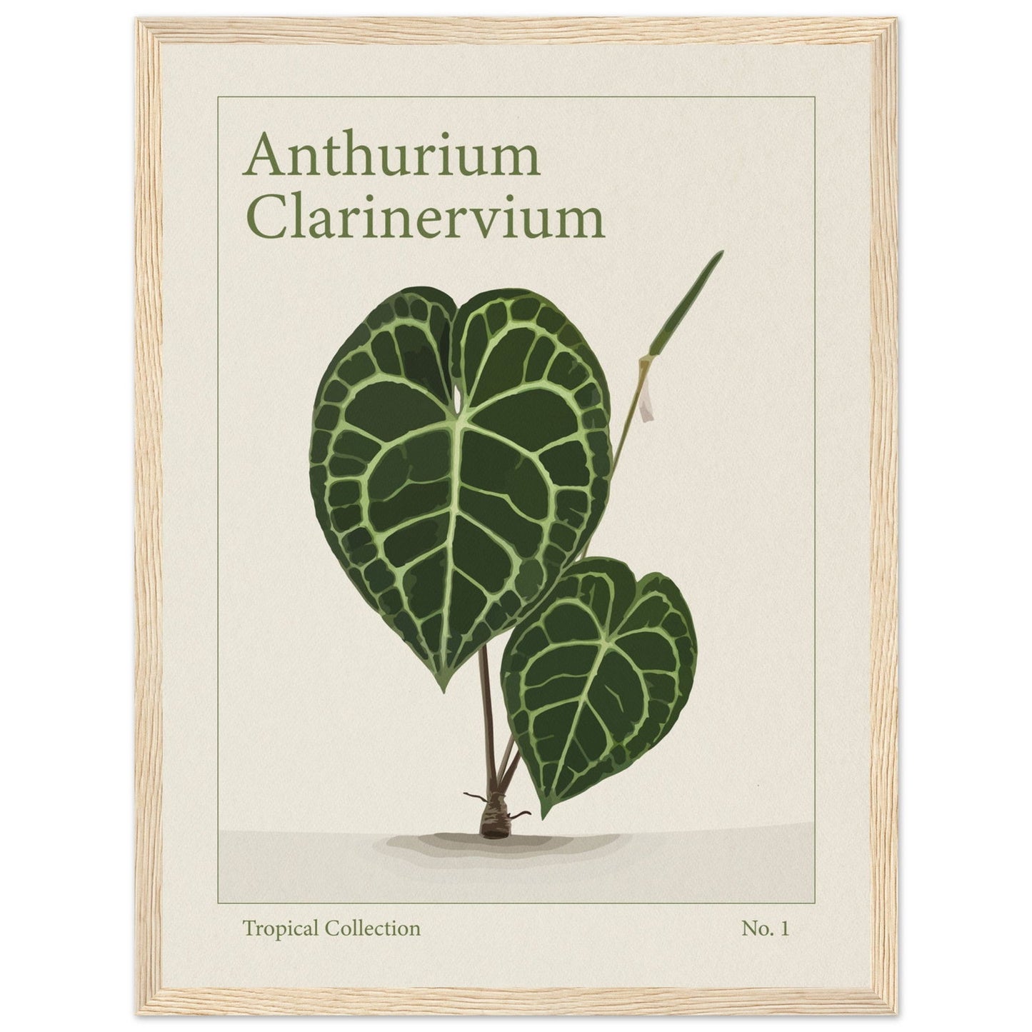 Anthurium Clarinervium - art behind glass