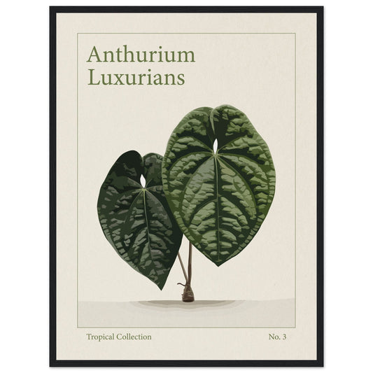 Anthurium Luxurians - art behind glass