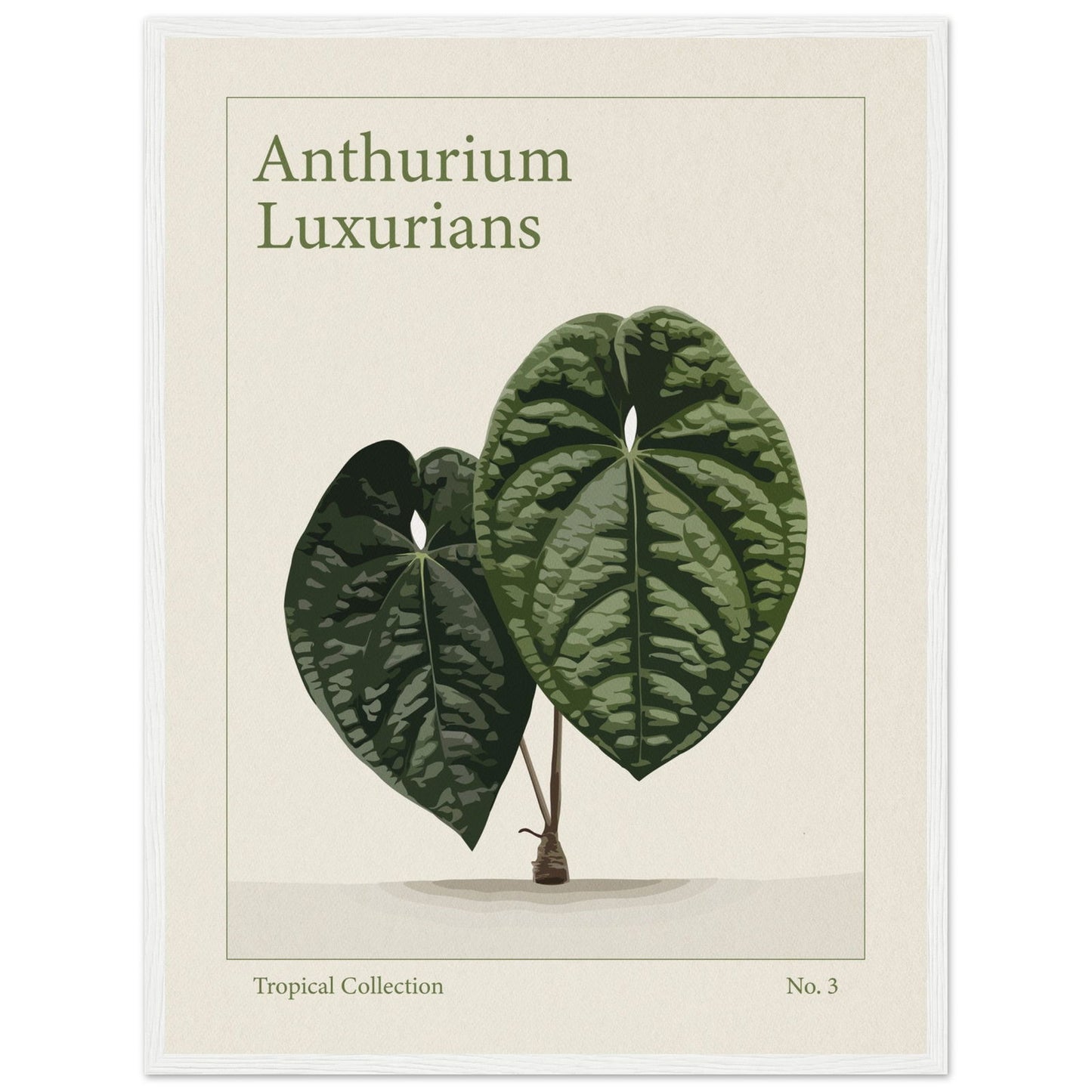 Anthurium Luxurians - art behind glass