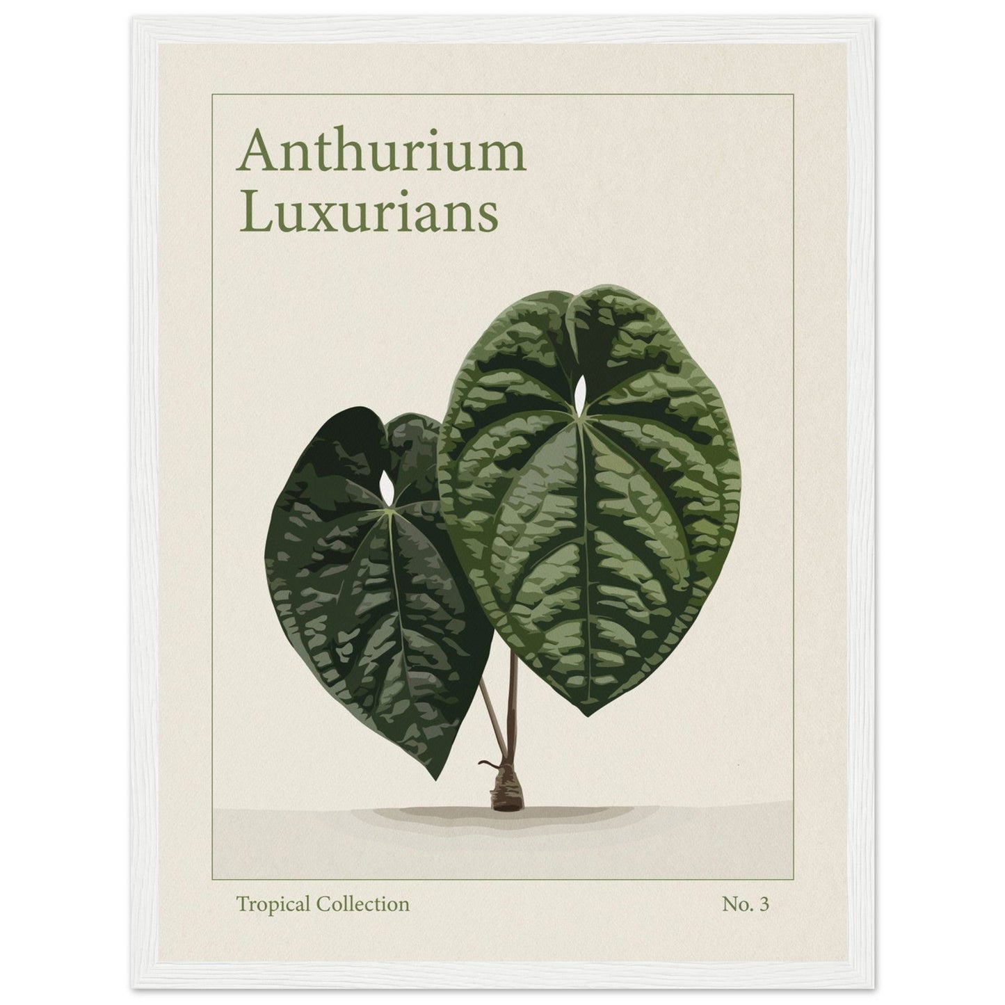 Anthurium Luxurians - art behind glass