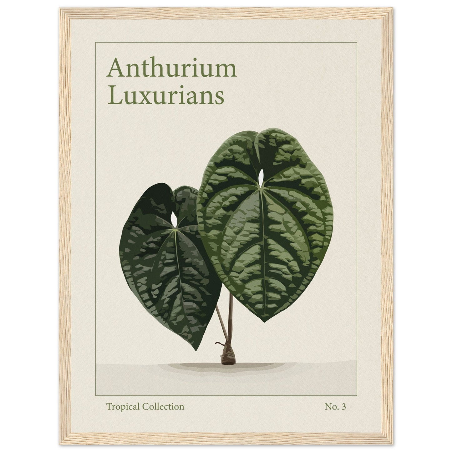 Anthurium Luxurians - art behind glass