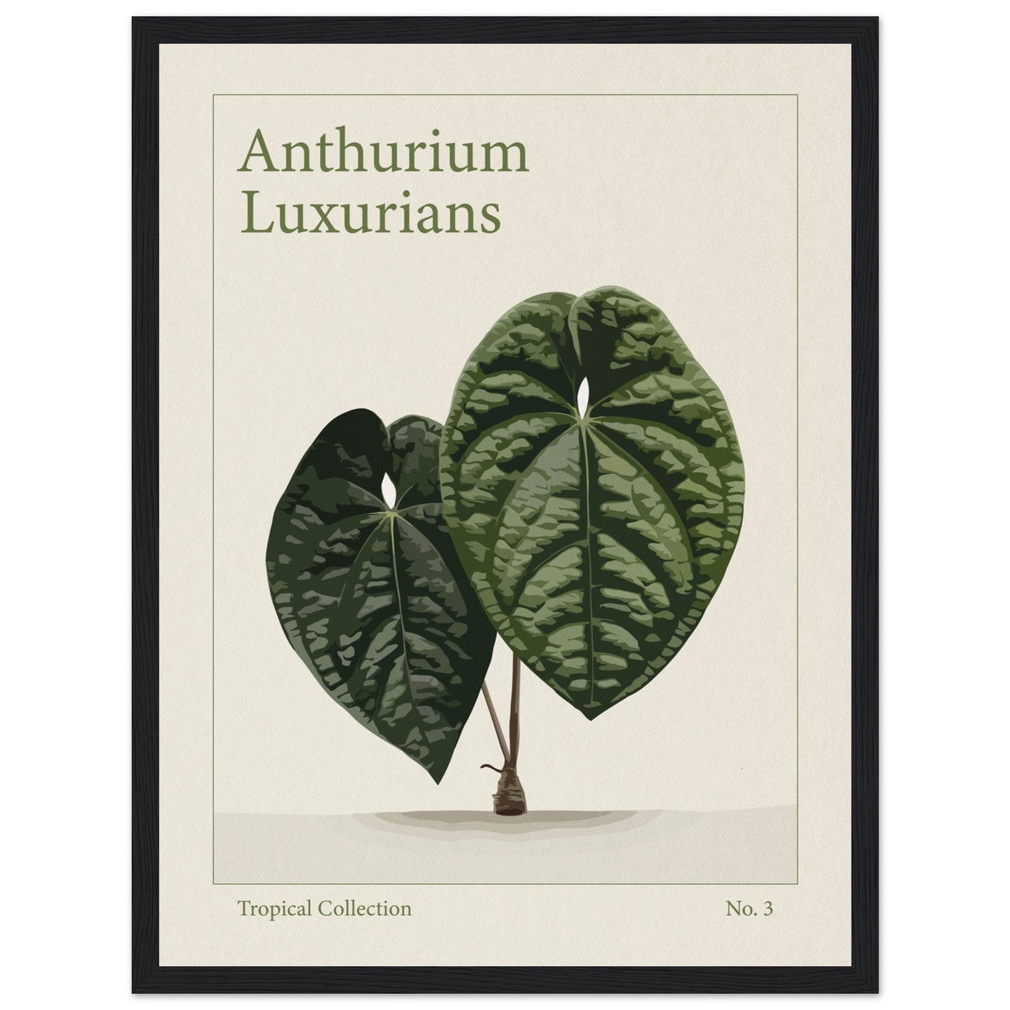 Anthurium Luxurians - art behind glass