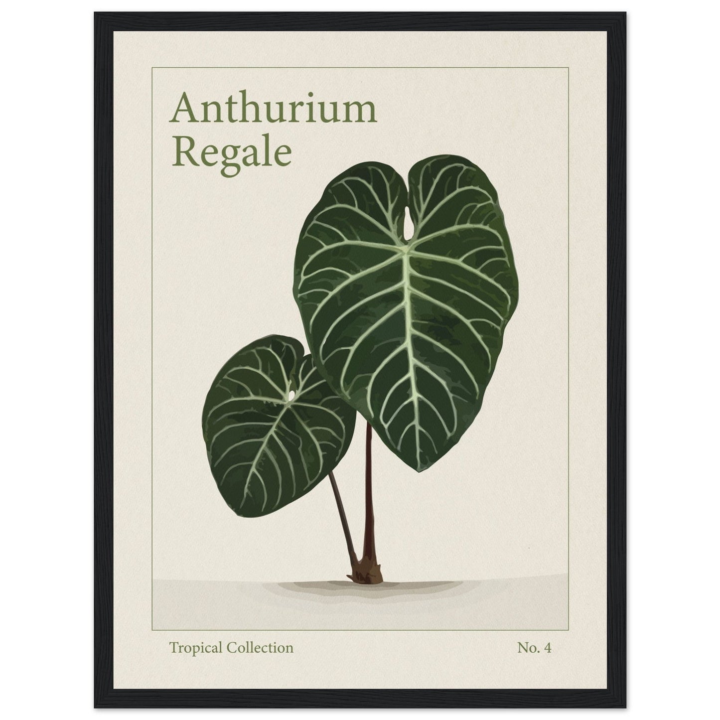 Anthurium Regale - art behind glass