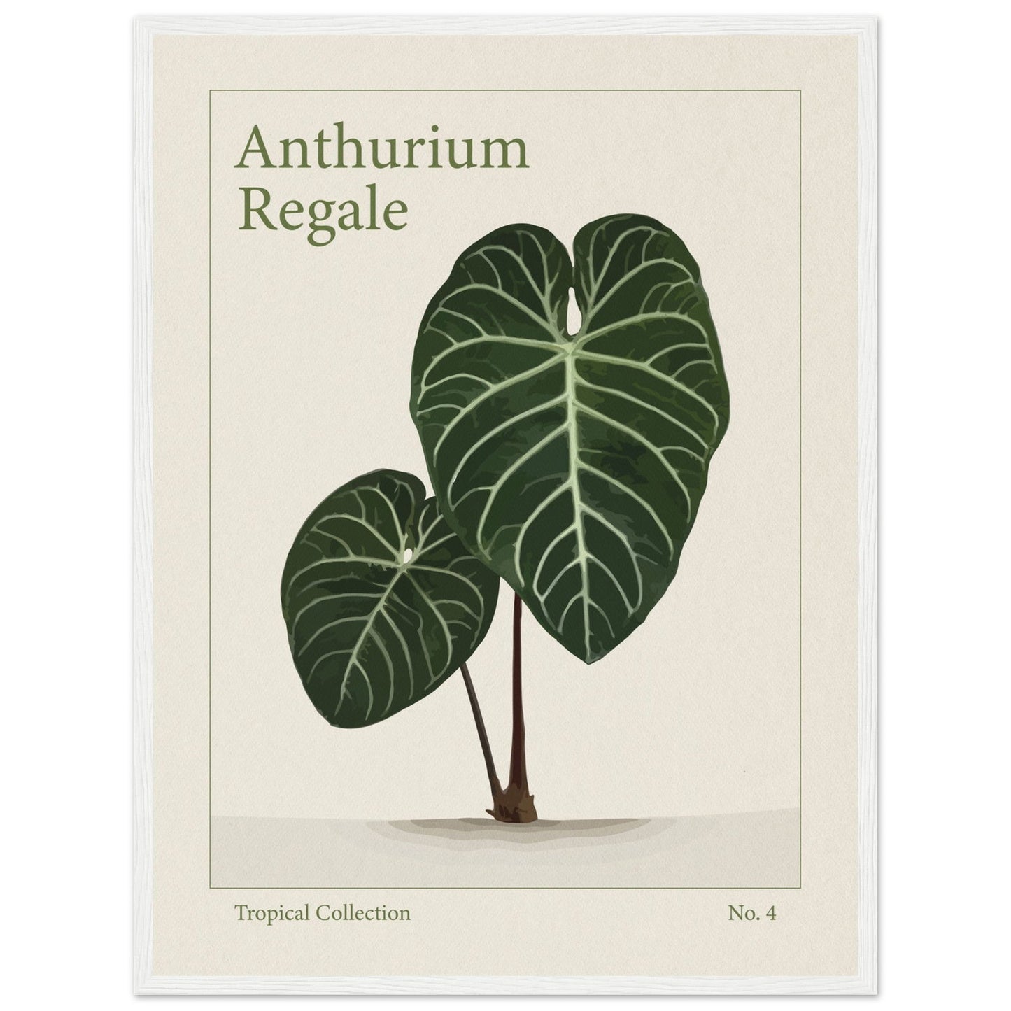 Anthurium Regale - art behind glass