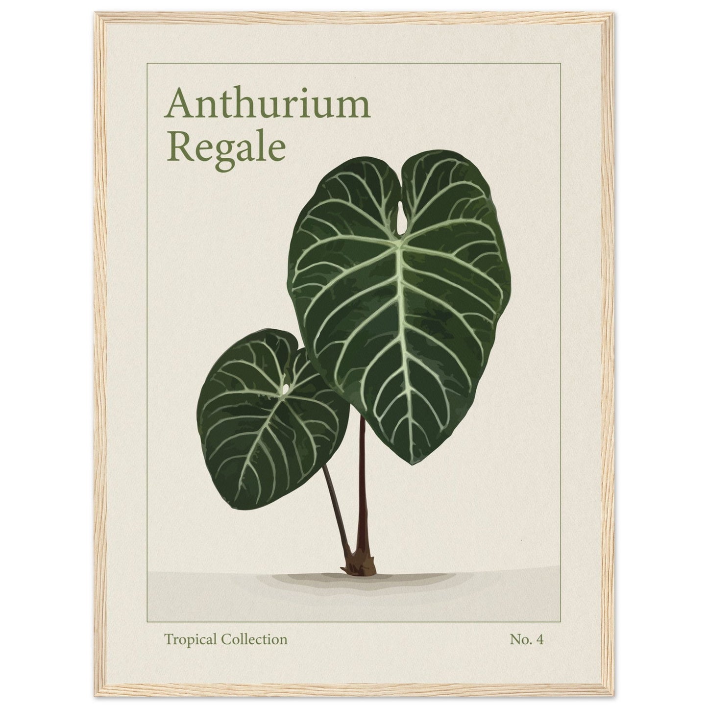 Anthurium Regale - art behind glass