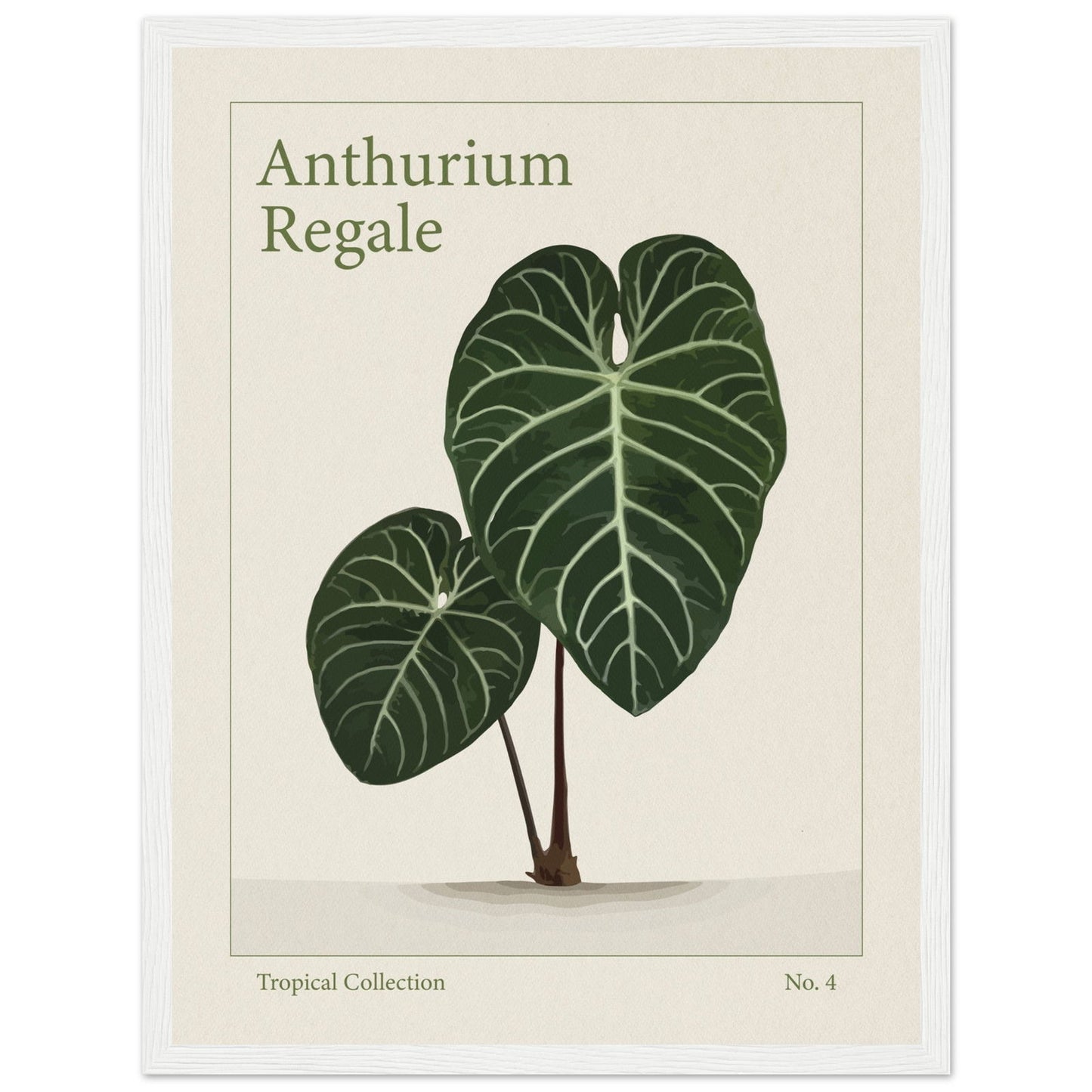 Anthurium Regale - art behind glass