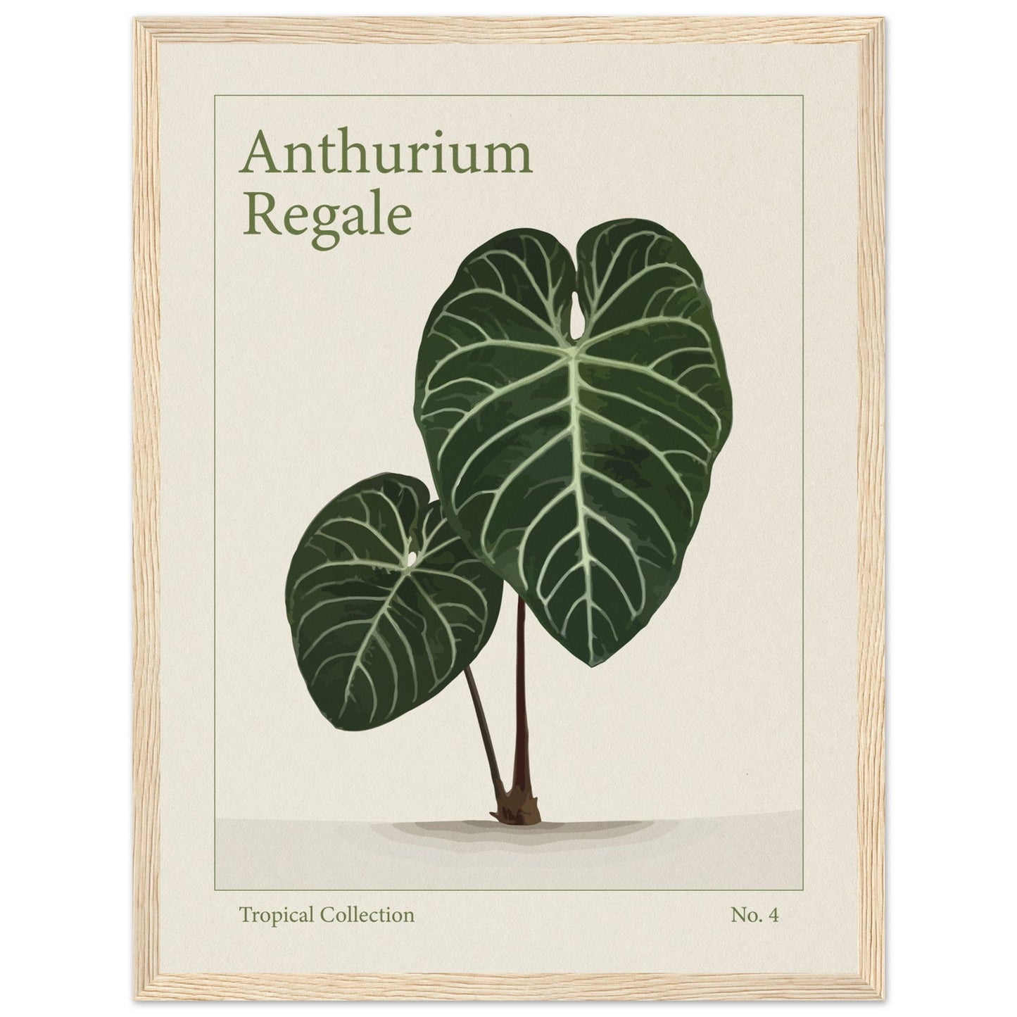 Anthurium Regale - art behind glass