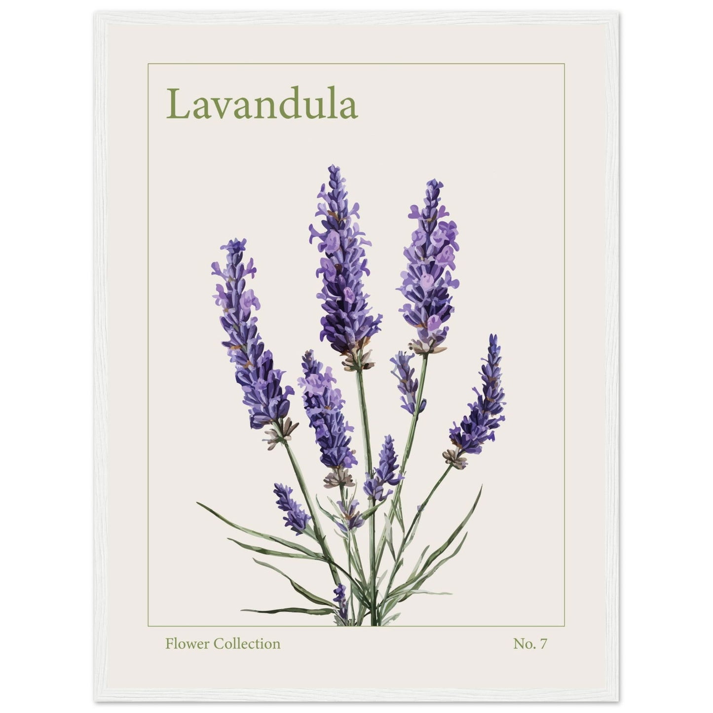 Lavendel - art behind glass