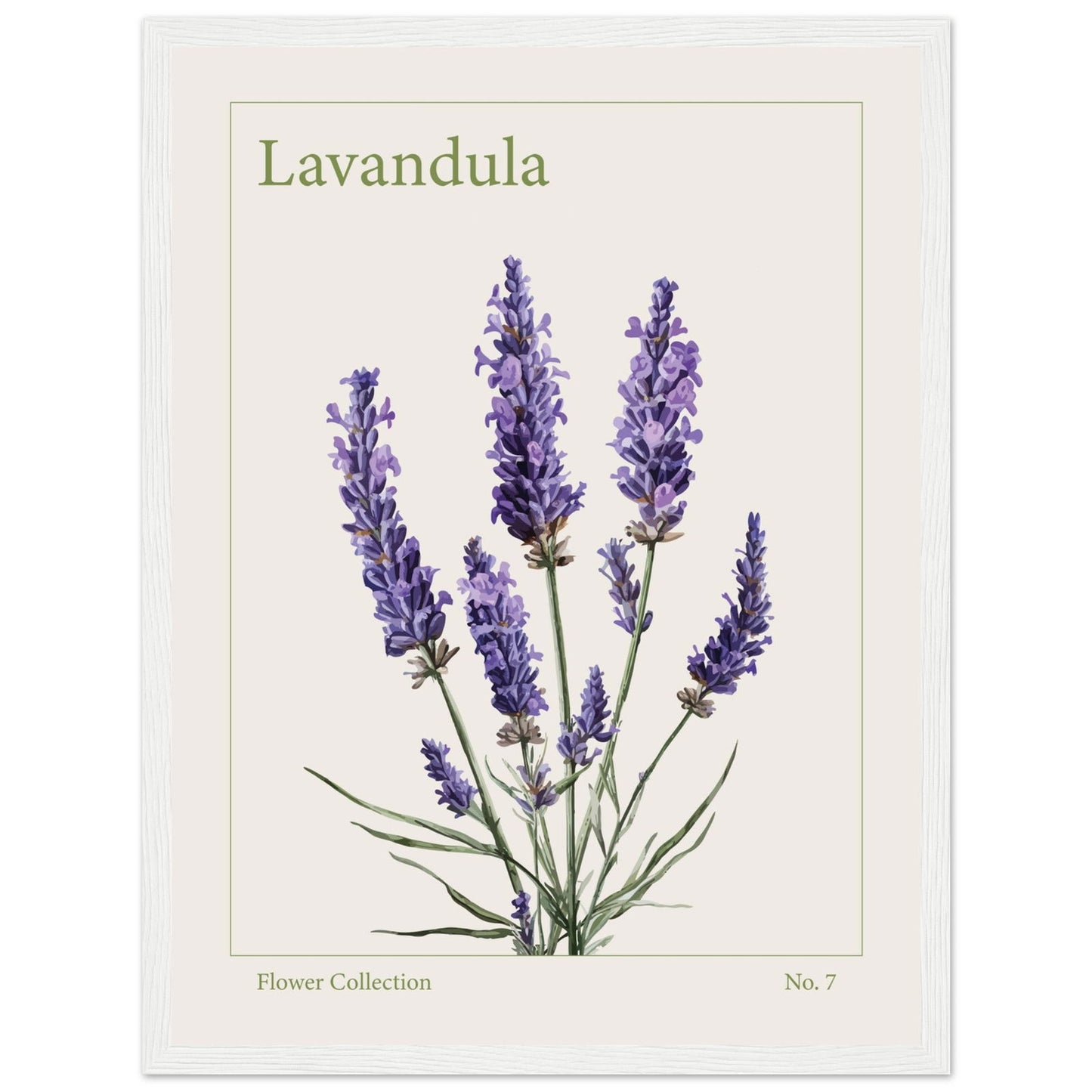 Lavendel - art behind glass