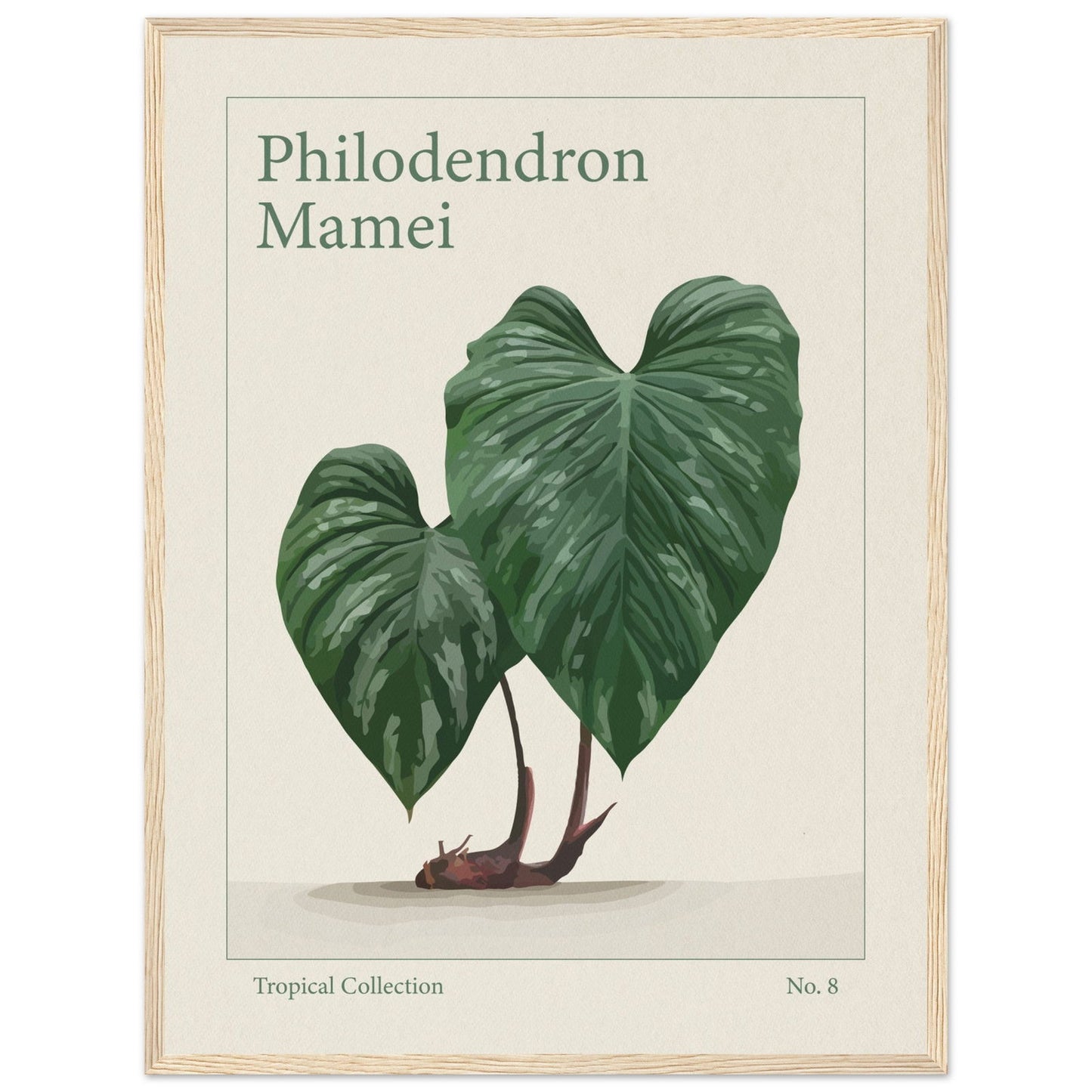 Philodendron Mamei - art behind glass