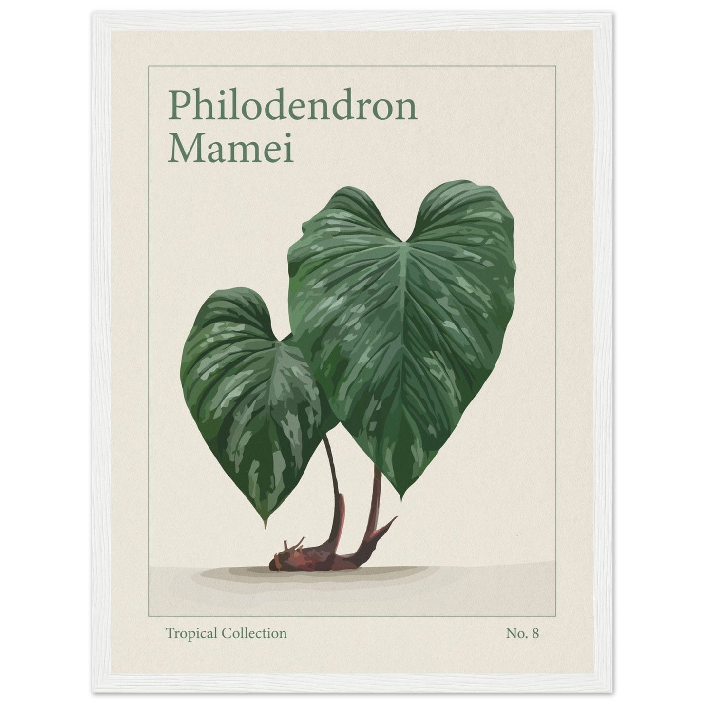 Philodendron Mamei - art behind glass