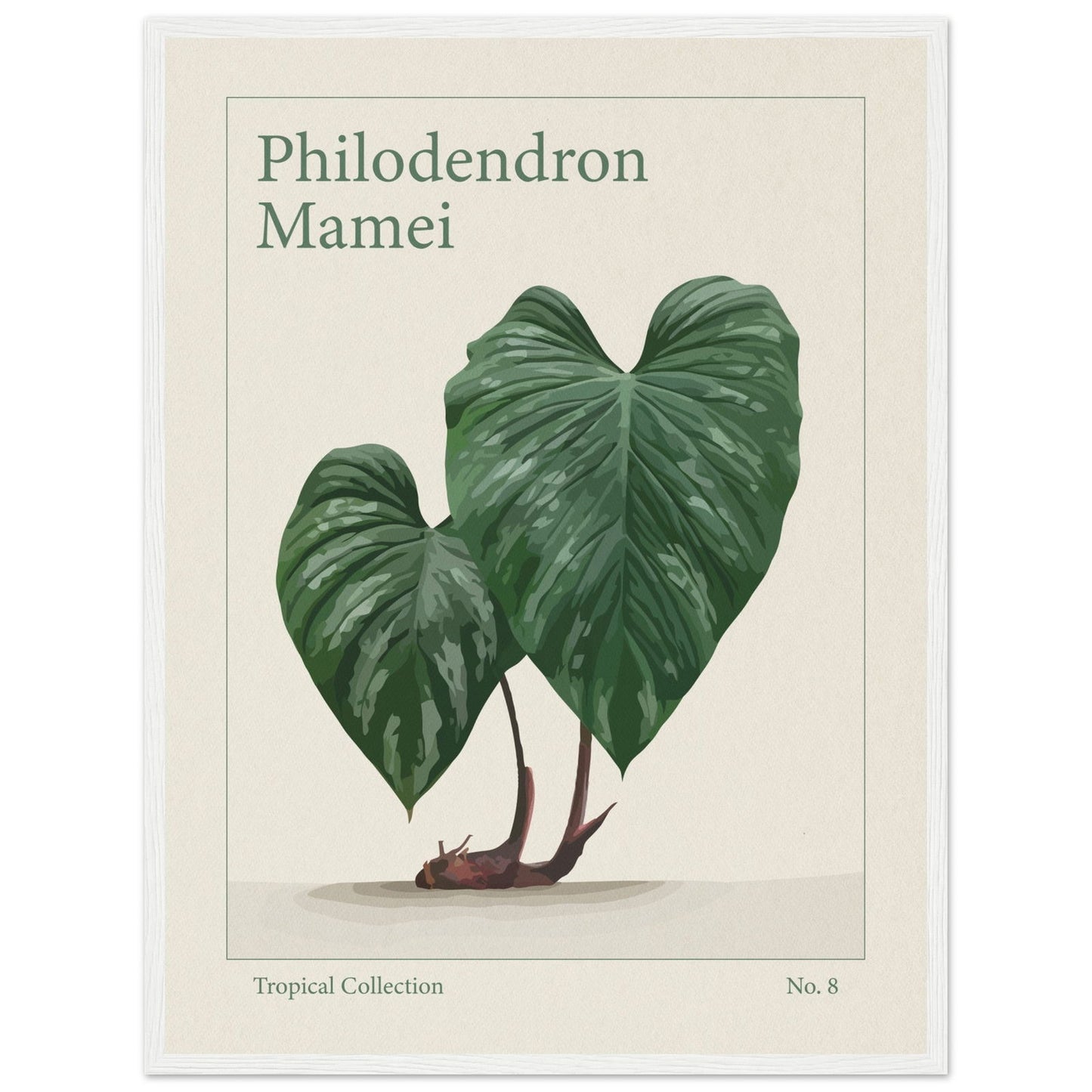 Philodendron Mamei - art behind glass