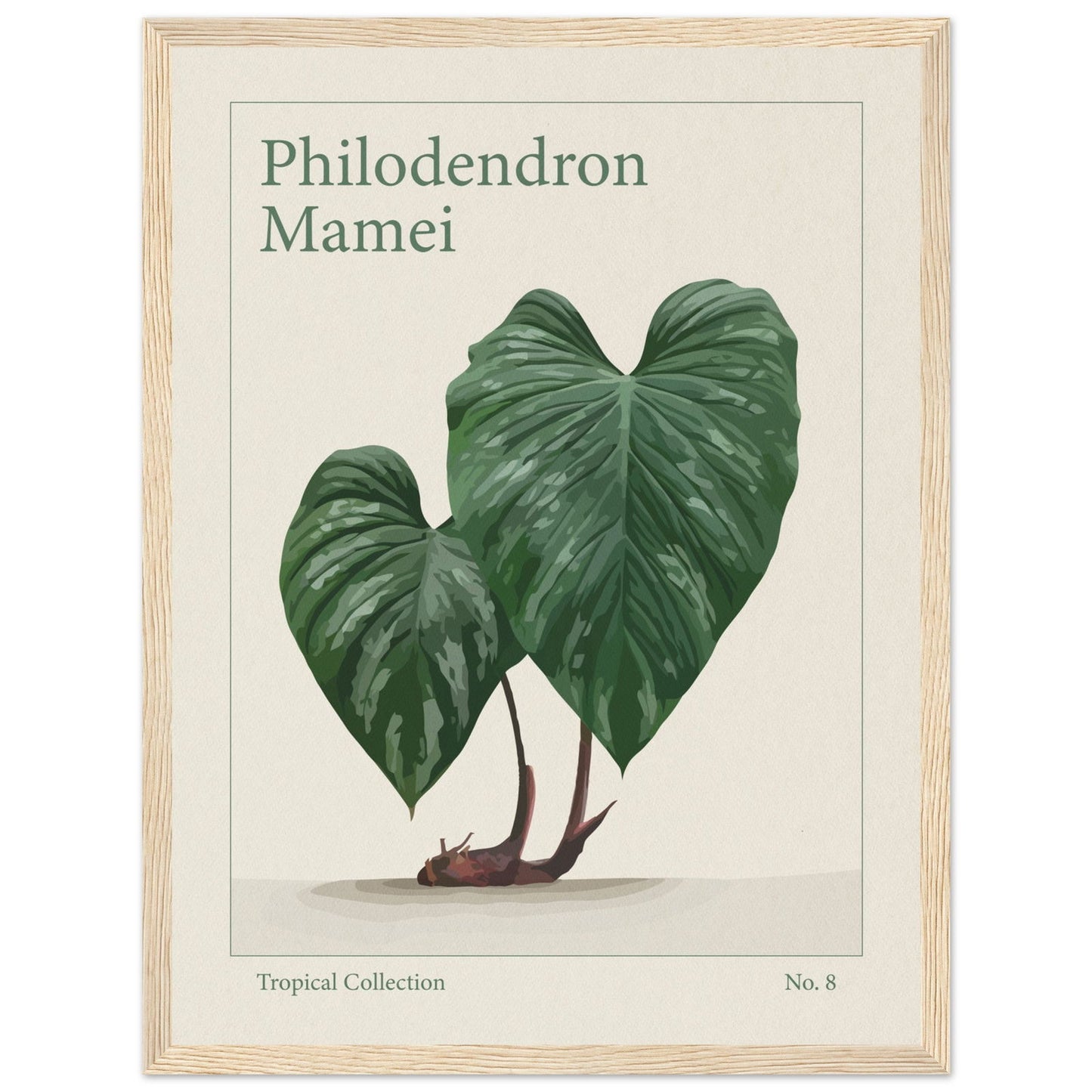 Philodendron Mamei - art behind glass