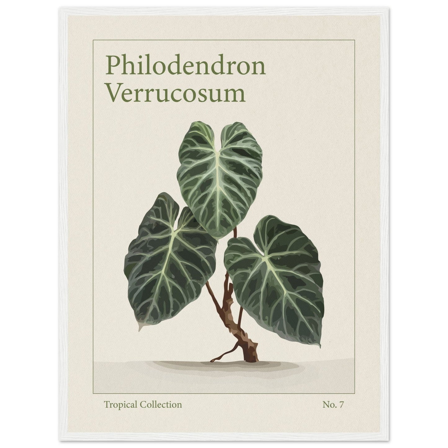 Philodendron Verrucosum - art behind glass