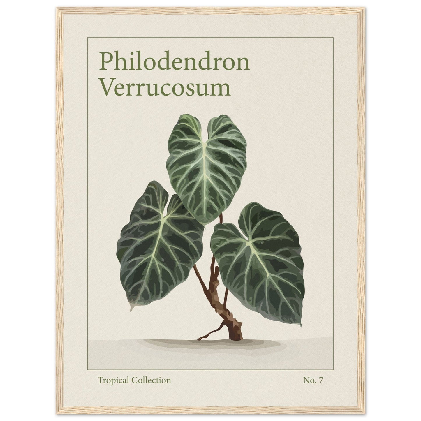 Philodendron Verrucosum - art behind glass