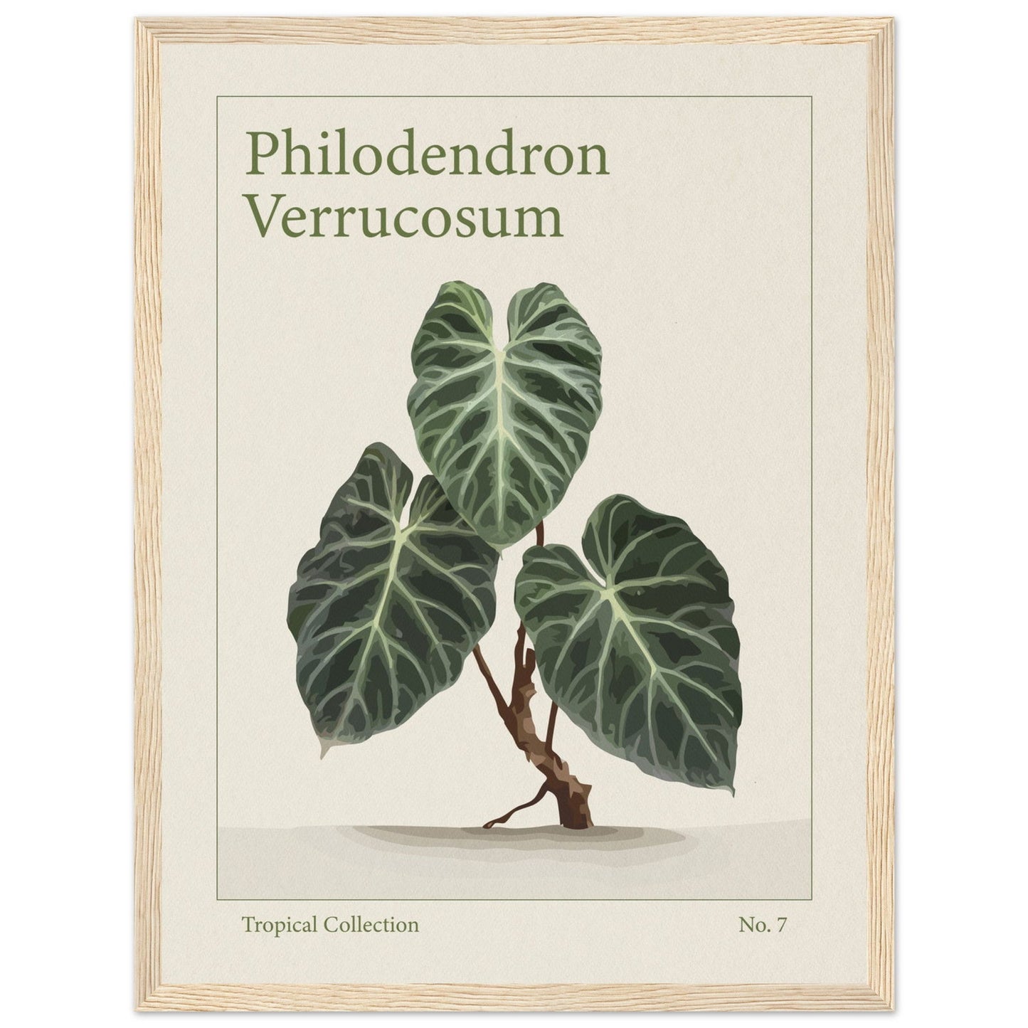 Philodendron Verrucosum - art behind glass