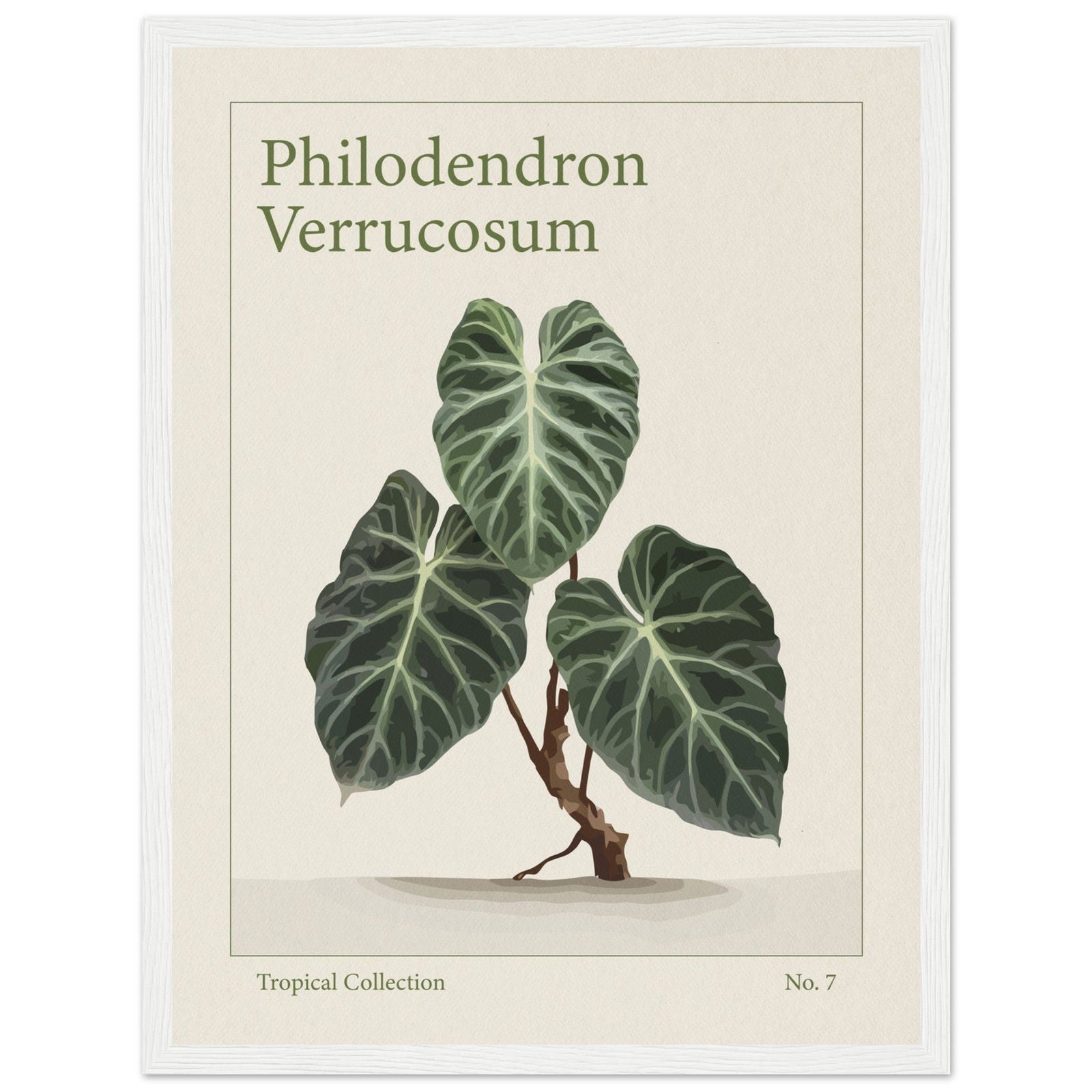 Philodendron Verrucosum - art behind glass