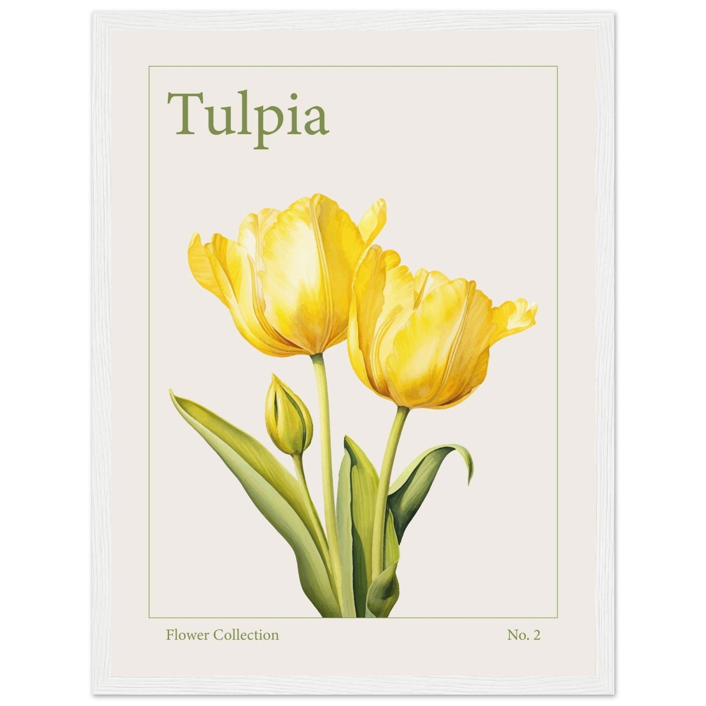 Tulpe - art behind glass